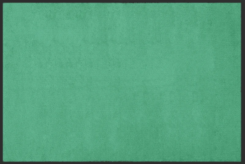 Fußmatte Neutral Farbe 070