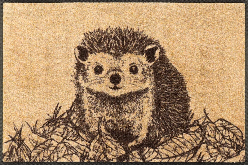Fußmatte 50x75 Hedgy beige