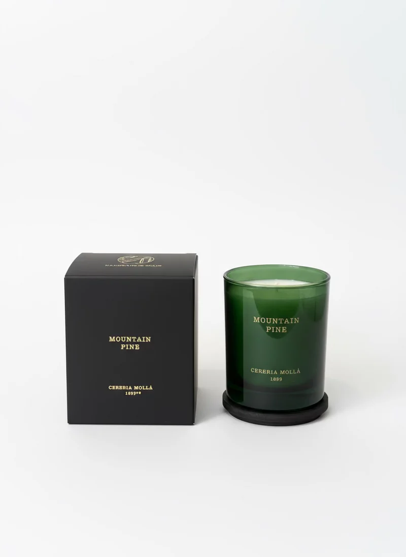 MOUNTAIN PINE – Duftkerze 230 g