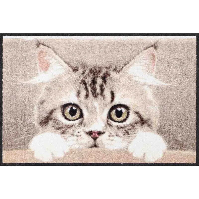 Fußmatte 50x75 Nosy Cat beige