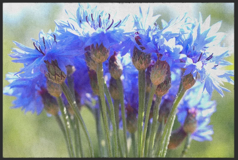 Fussmatte Blüten 11136