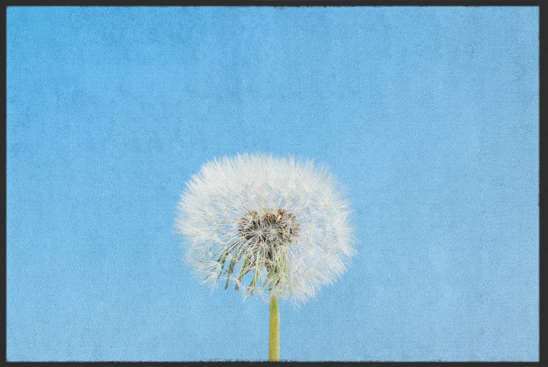 Fussmatte Pusteblume 11131