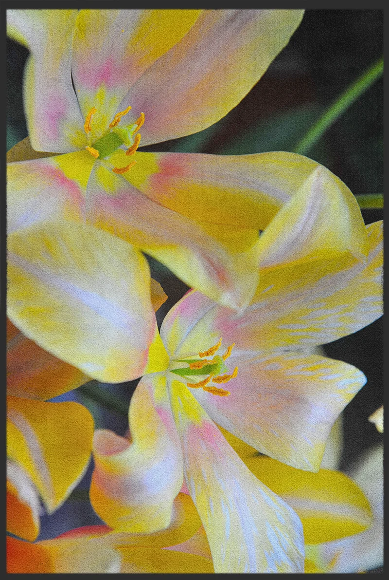 Fussmatte 10831