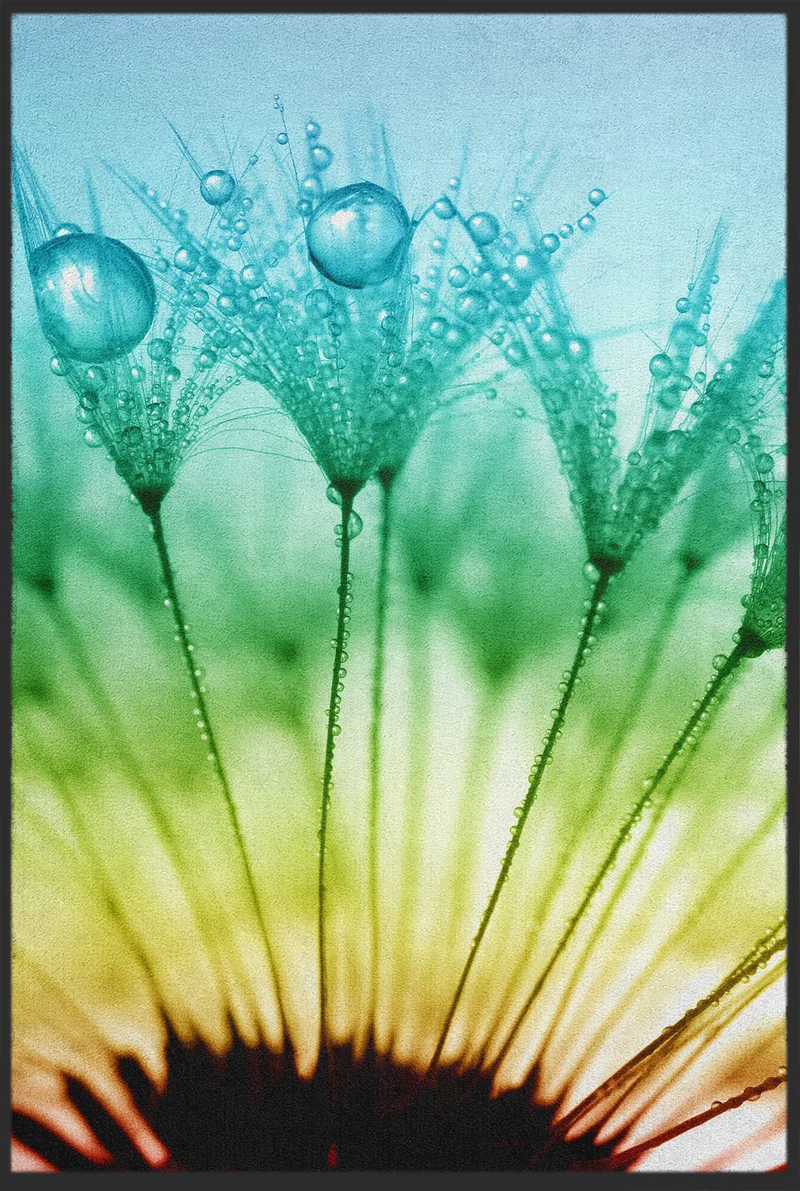 Fussmatte Blüte 10812