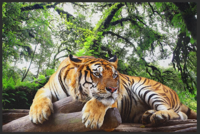 Fussmatte Tiger 10819