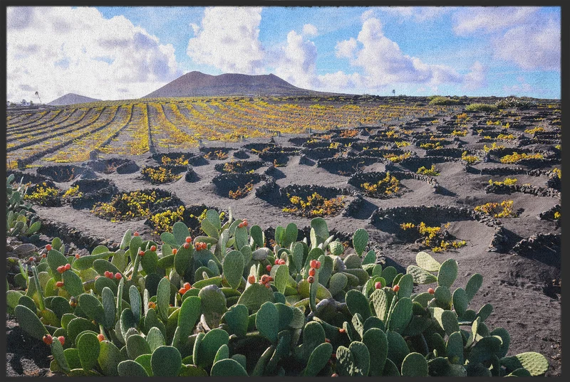 Fussmatte Lanzarote 10368