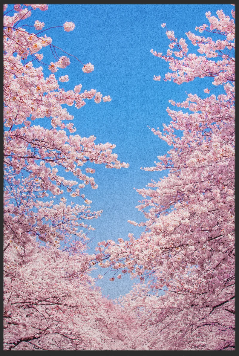 Fussmatte Kirschblüten 10365
