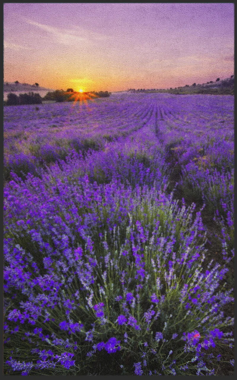 Fussmatte Lavendel 7139