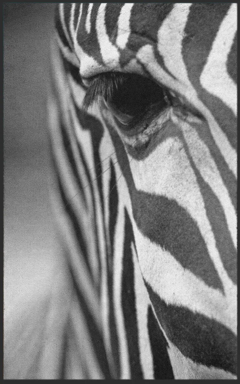 Fussmatte Zebra 7138