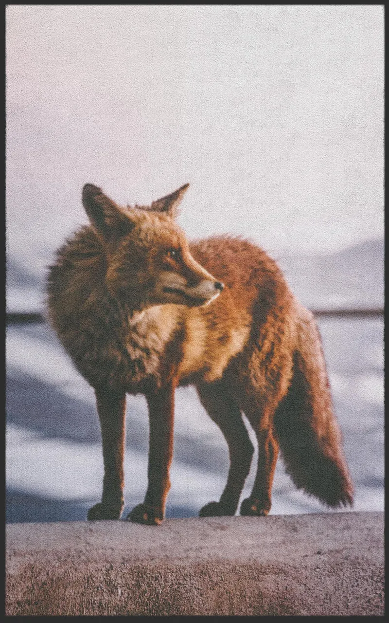 Fussmatte Fuchs 7553