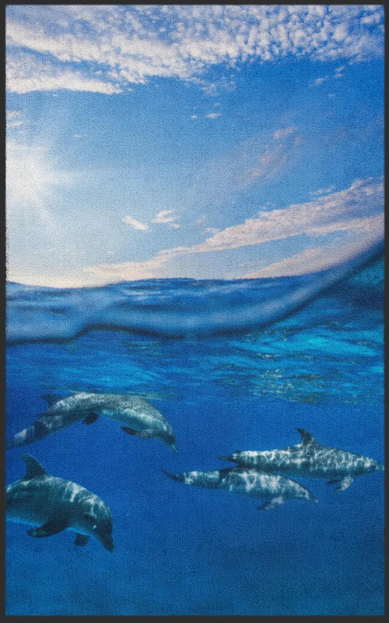 Fussmatte Delfin 7683
