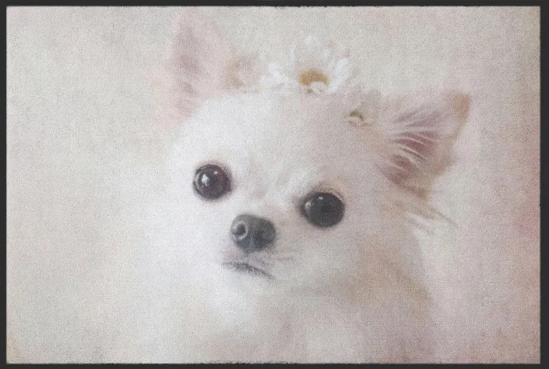 Fussmatte Chihuahua 4628
