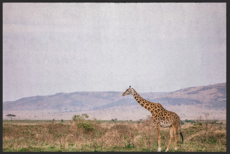 Fussmatte Giraffe 10558