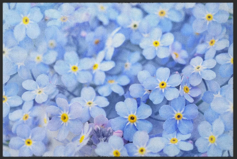 Fussmatte 10227