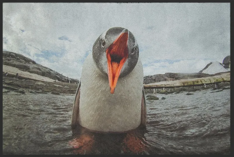 Fussmatte Pinguin 10169