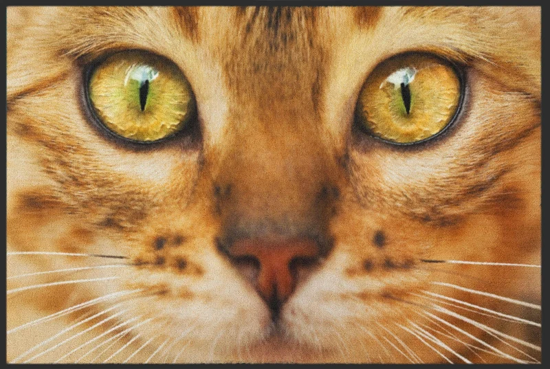 Fussmatte Katze 6259