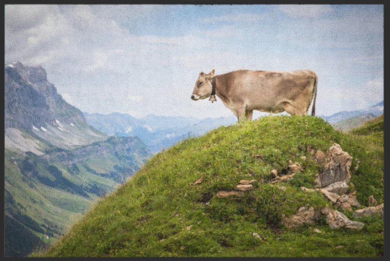 Fussmatte 6257