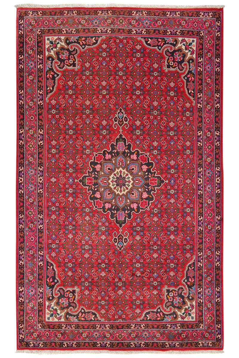 Bidjar · Handgeknüpft – Rot, 254x155 cm