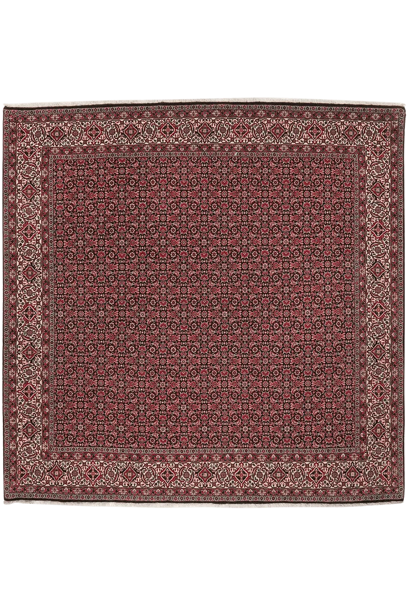 Bidjar Bookan · Handgeknüpft – Blau, 204x204 cm